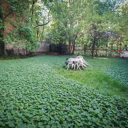 Elegant Garden Flat * Budapest