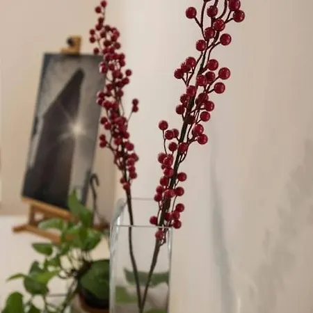 Apartment Elegant Garden Flat